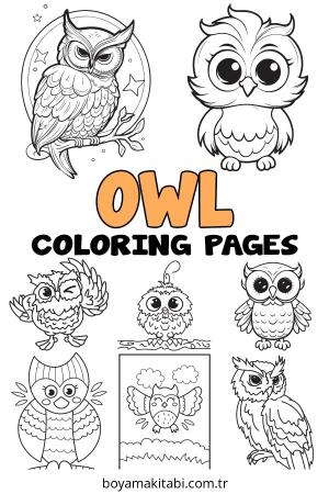 Baykuş boyama sayfası – boyama çalışması, yaratıcılığı geliştirir