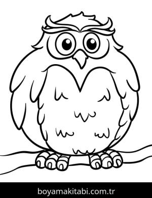 Baykuş boyama sayfası 50908,  coloring page, 