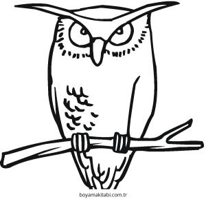 Baykuş boyama sayfası – ücretsiz yazdır, boyama etkinliği