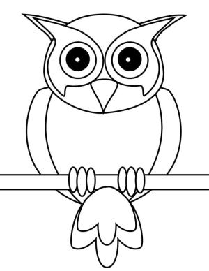 Baykuş boyama sayfası,  coloring page, Özgür Baykuş, 