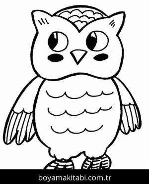 Baykuş boyama sayfası 50893,  coloring page, 