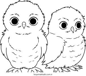 Baykuş boyama sayfası – evde etkinlik, ücretsiz yazdır