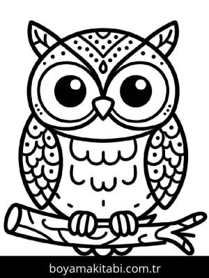 Baykuş boyama sayfası 50910,  coloring page, 