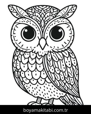 Baykuş boyama sayfası 50905,  coloring page, 