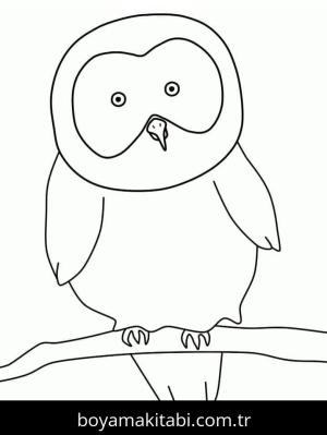 Baykuş boyama sayfası 50882,  coloring page, 