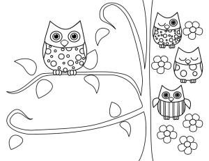 Baykuş boyama sayfası,  coloring page, sevimli baykuşlar, 