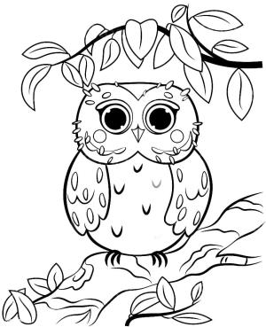 Baykuş boyama sayfası,  coloring page, Ağaç Dalında Şirin Baykuş, 