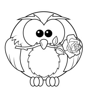 Baykuş boyama sayfası,  coloring page, Güllü Baykuş, 