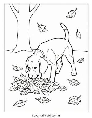 Beagle boyama sayfası – evde etkinlik, ücretsiz yazdır