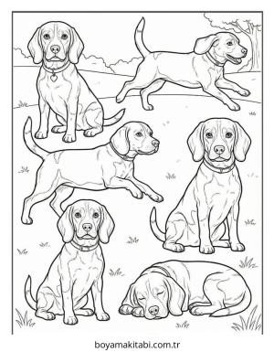 Beagle boyama sayfası – kolay boyama, eğitici aktivite