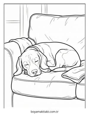 Beagle boyama sayfası – çocuk aktivitesi, PDF indir