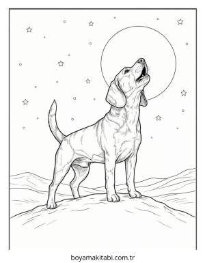 Beagle boyama sayfası – eğitici aktivite, yaratıcılık