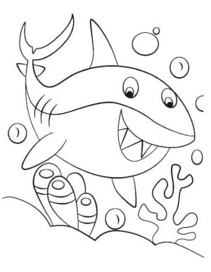 Bebek Köpekbalığı boyama sayfası,  coloring page, Bebek Köpek Balığı Çizimi, 