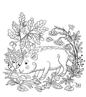 Bella Sara boyama sayfası,  coloring page, Bella Sara ve Hayvan, 