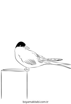 Ben 10 boyama sayfası – sevimli karakter, sanatsal çalışma