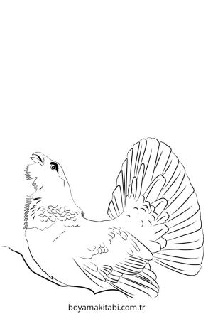 Ben 10 boyama sayfası – evde etkinlik, ücretsiz yazdır