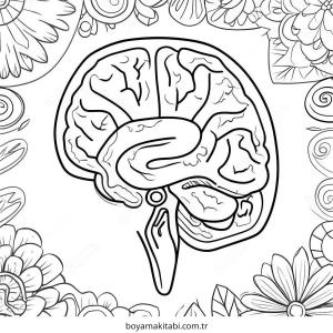 Beyin boyama sayfası – çocuk aktivitesi, PDF indir
