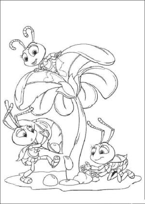 Bir Böceğin Hayatı boyama sayfası,  coloring page, Çiçek Üzerindeki Böcekler, 