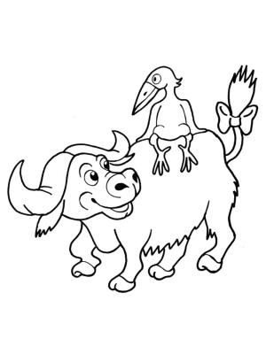 Bizon boyama sayfası,  coloring page, Bufalodaki Kuş, 