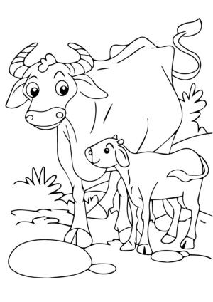 Bizon boyama sayfası,  coloring page, Mama Buffalo ve Buzağı, 