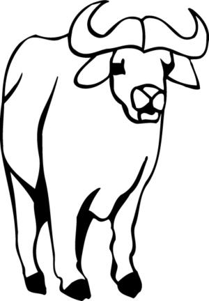 Bizon boyama sayfası,  coloring page, Buffalo Yazdırılabilir, 