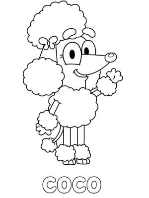 Bluey boyama sayfası,  coloring page, Kaniş Hindistan Cevizi, 