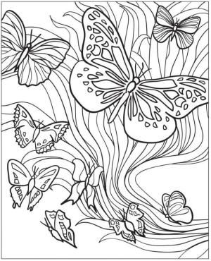 Böcek boyama sayfası,  coloring page, Kelebek Ailesi, 