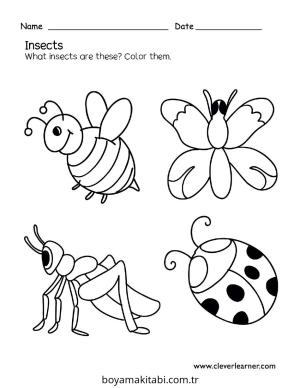 Böcek boyama sayfası – basit çizim, kolay boyama