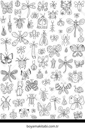 Böcek boyama sayfası – okul öncesi, evde etkinlik