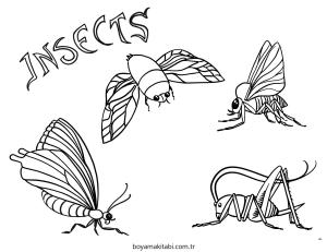 Böcek boyama sayfası – evde etkinlik, ücretsiz yazdır