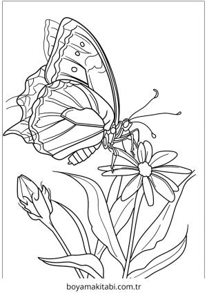 Böcek boyama sayfası – yaratıcılık, eğlenceli etkinlik