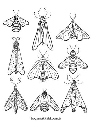 Böcek boyama sayfası – boyama etkinliği, çocuk aktivitesi