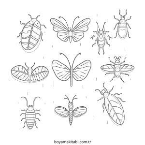 Böcek boyama sayfası – PDF indir, sevimli karakter