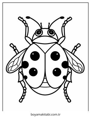 Böcek boyama sayfası – boyama çalışması, yaratıcılığı geliştirir