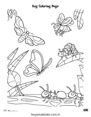 Böcek boyama sayfası – kolay boyama, eğitici aktivite