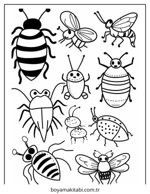 Böcek boyama sayfası – keyifli zaman, renkli çizimler