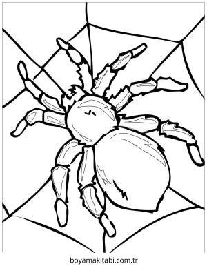 Böcek boyama sayfası – sanatsal çalışma, çocuklar için