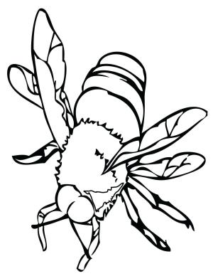 Böcekler boyama sayfası,  coloring page, Yazdır Böcek, 