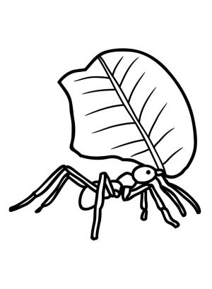 Böcekler boyama sayfası,  coloring page, Böcekler 7, 