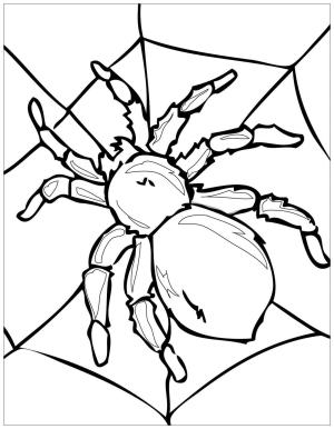 Böcekler boyama sayfası,  coloring page, Ücretsiz Baskı Böcek, 