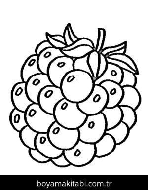 Böğürtlen boyama sayfası – boyama çalışması, yaratıcılığı geliştirir