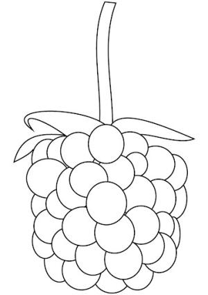 Böğürtlen boyama sayfası,  coloring page, Büyük Böğürtlen, 