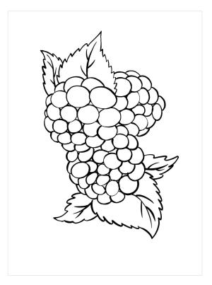 Böğürtlen boyama sayfası,  coloring page, Çok Güzel Böğürtlen, 