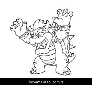 Bowser Boyama