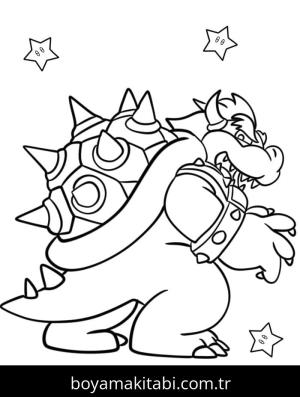 Bowser Boyama