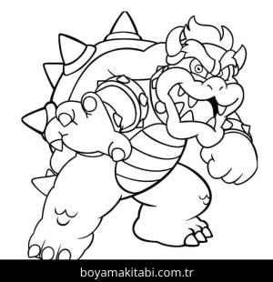 Bowser Boyama