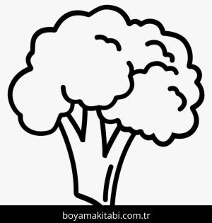 Brokoli boyama sayfası – çocuk aktivitesi, PDF indir