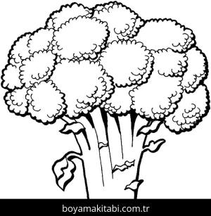 Brokoli boyama sayfası – okul öncesi, evde etkinlik