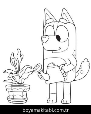 Buey boyama sayfası – çocuk aktivitesi, PDF indir