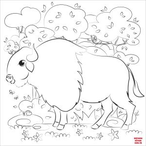 Bufalo boyama sayfası, Buffalo coloring page, , Buffalo Buffalo